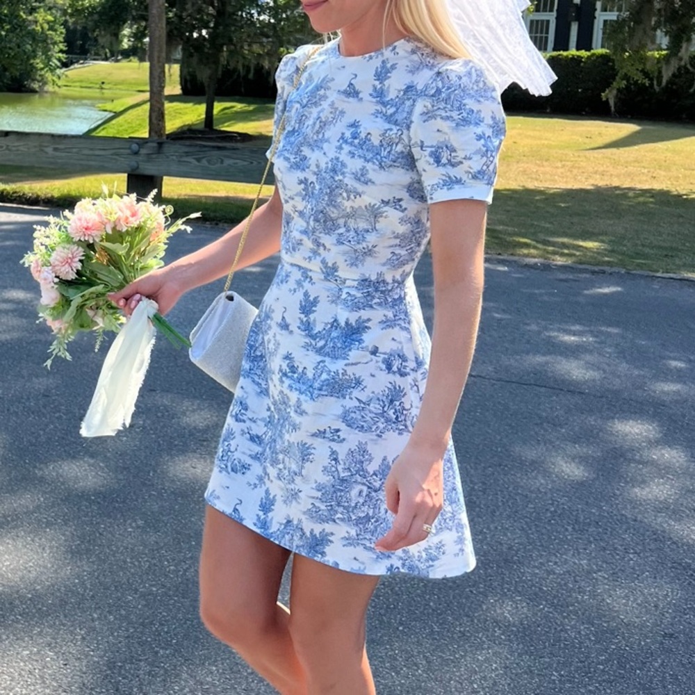 French toile blue summer puffy sleeve mini dress xs